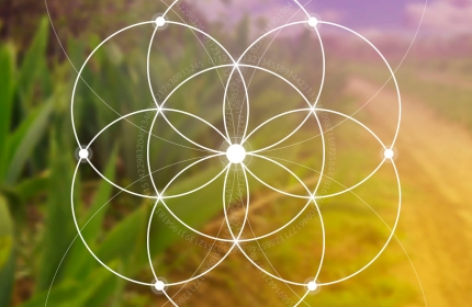 Kraft - Symbolen und Zahlen